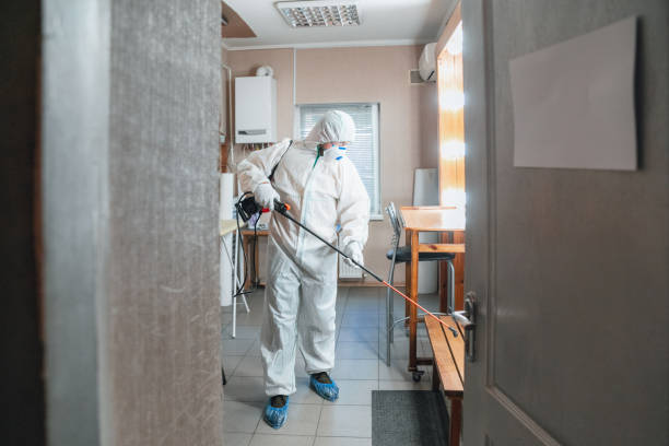 Best Asbestos and Lead Testing During Mold Inspection  in New Hampton, IA