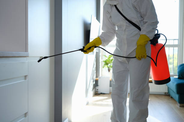 Best Biohazard Mold Removal  in New Hampton, IA
