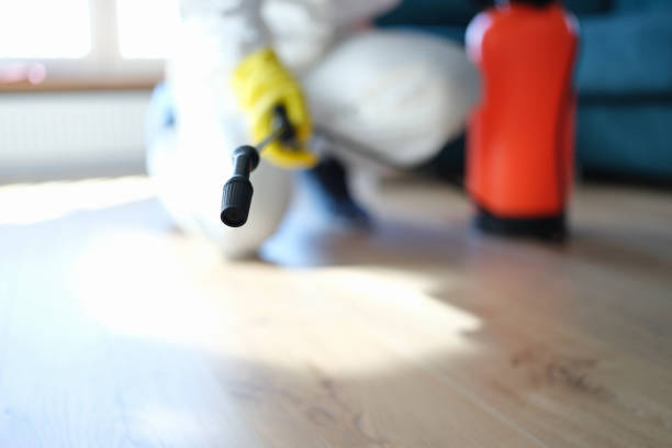 Asbestos and Lead Testing During Mold Inspection in New Hampton, IA