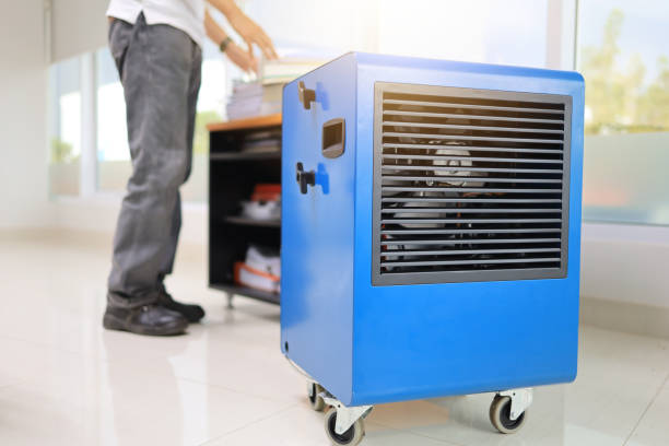 Best Attic Mold Removal  in New Hampton, IA