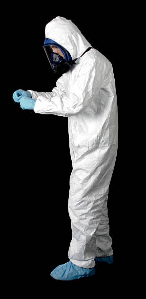 Trusted New Hampton, IA Mold Removal Experts