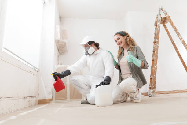 Best Mold Prevention Services  in New Hampton, IA