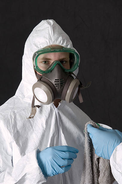 Best Mold Damage Restoration  in New Hampton, IA